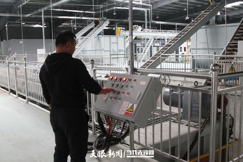 全国首家自主知识产权全智能化白参菌栽培工厂落户大方 智能电网技术护航产业升级