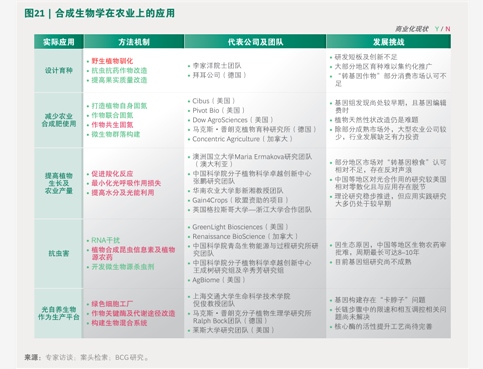 2025年中国区域能源体系行业研究报告 智能电网技术咨询视角